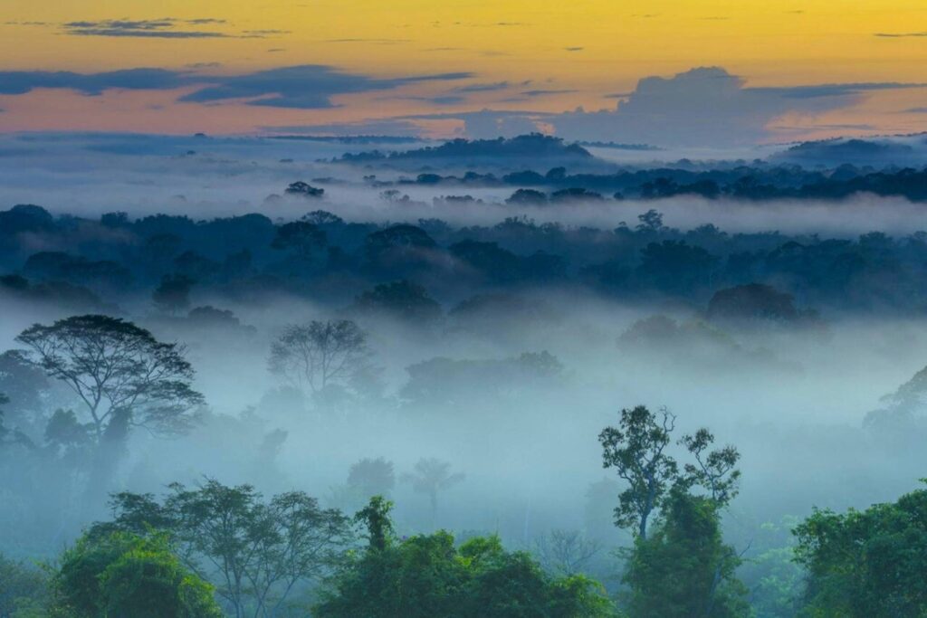 Brazil Urges Enhanced Collaboration Among UN Environmental Conventions to Tackle Global Challenges Brazil urges enhanced collaboration among un environmental conventions to tackle