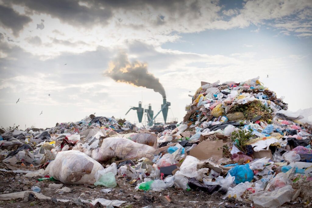 Political solutions, not tech fixes, for our environmental crisis