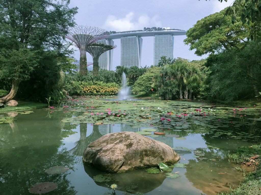 Transforming challenges into collaborative solutions in religious ecology