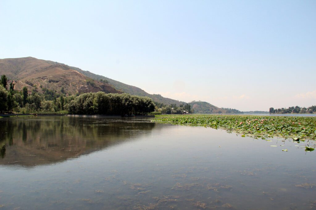 Urgent action needed for manasbal lake's environmental crisis