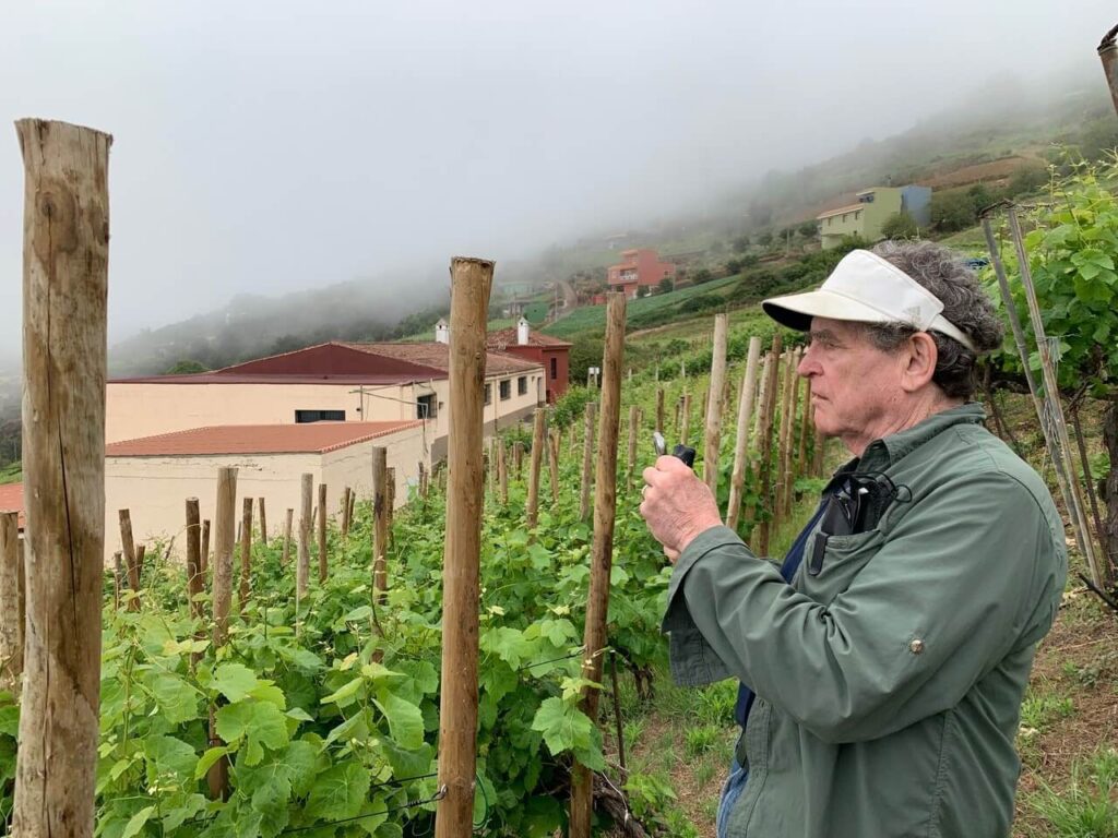 Exploring nature's balance: the interplay of urban life and environmental