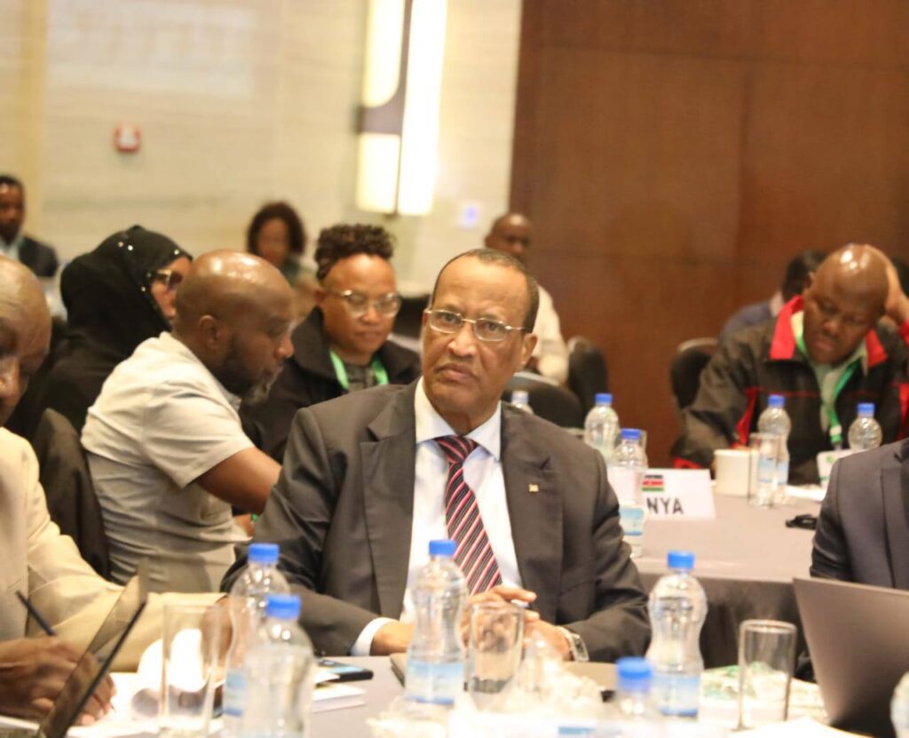 Tackling dadaab’s environmental challenges together