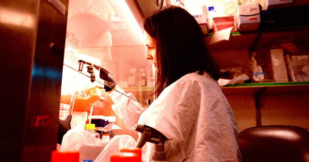 Young talent turns away from science as government funding wavers