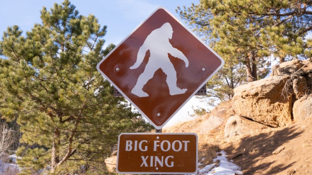 Bigfoot hunters: insights and missteps