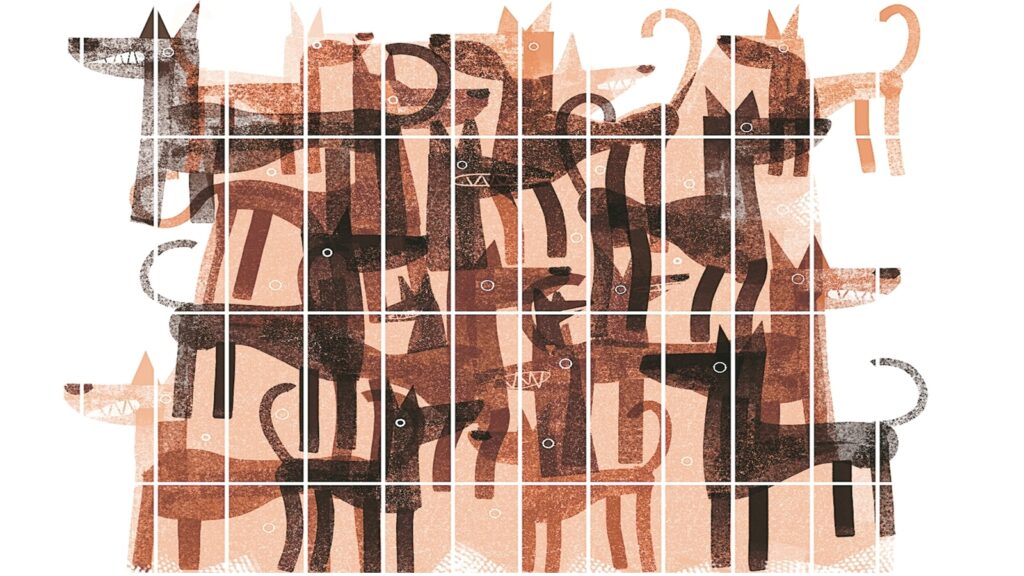 Stray dog decision: a step backward for compassion and justice