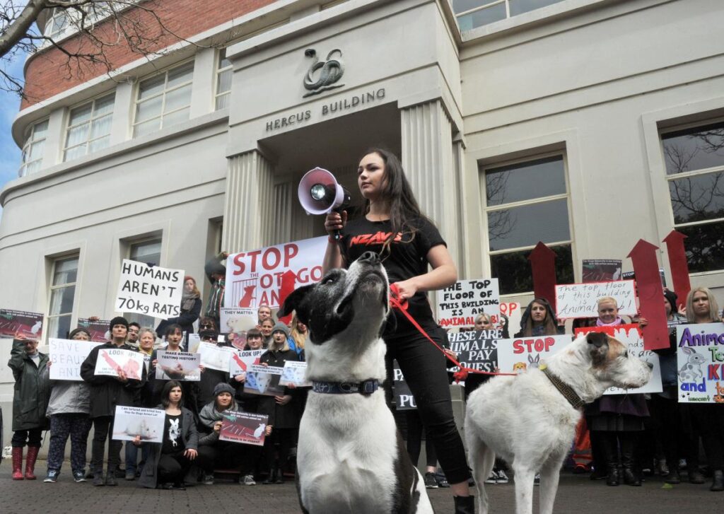 Exploring the limits of animal research in science