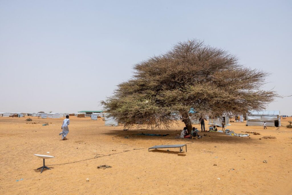 Navigating truth in the midst of conflict: the role of