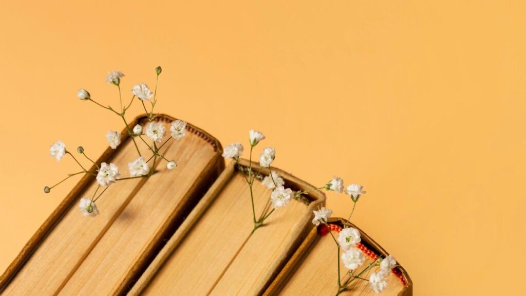 Power in the hands of the few