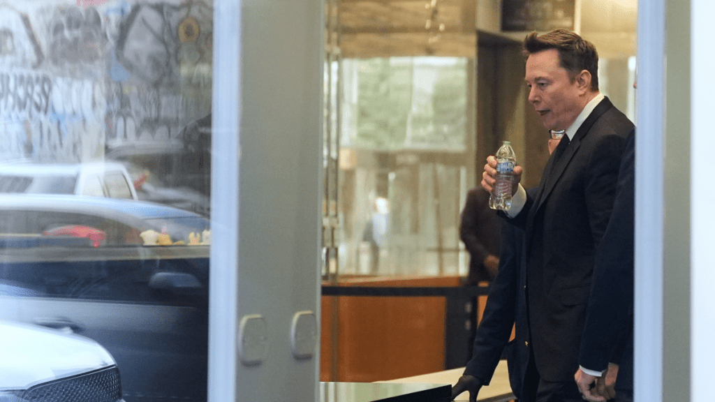 Platform power and shareholder influence in regulatory politics